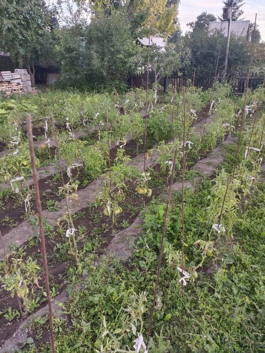 Продам дачу на СПП 8 соток