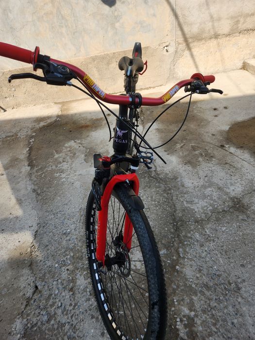 Велосипед 3 вида и канарейка