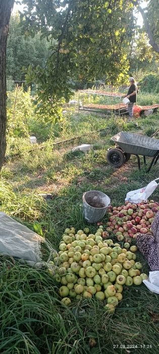 Дача 4ул 1 домик общ Обогатитель