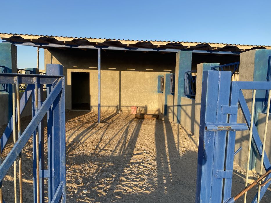 Сдается место для постоя лошади.