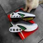 Nike DN ' White/Black/Neon