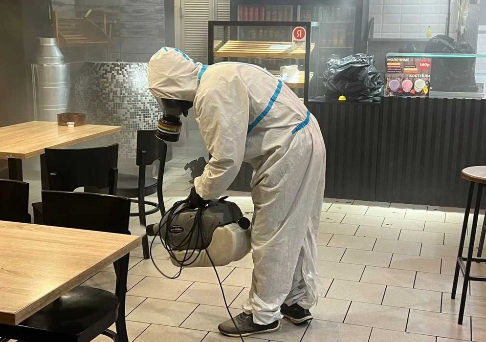 Дезинфекция Dezinfeksiya бурга burga блох Акция на обработку блох