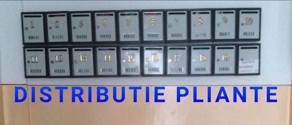 Distributie pliante marketing