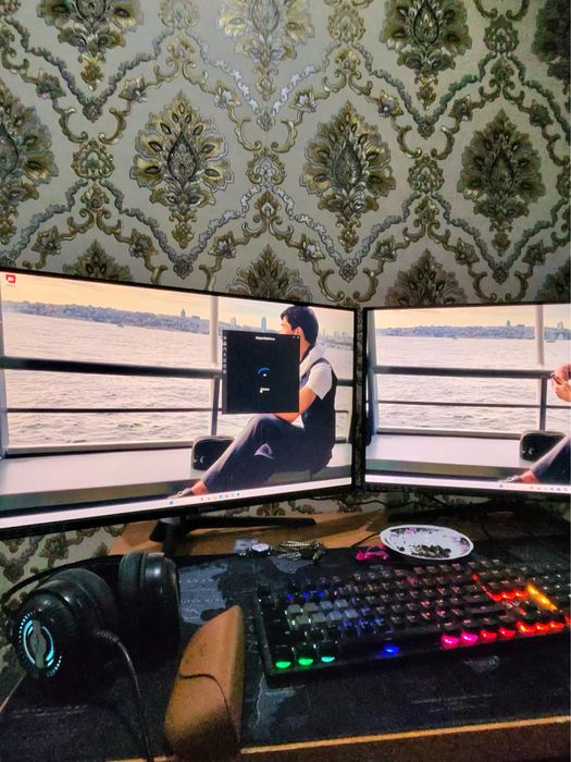 Монитоор Ziffler