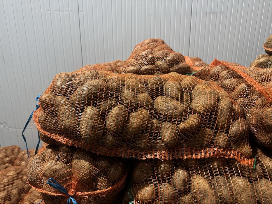 Cartofi Albi și Rozi