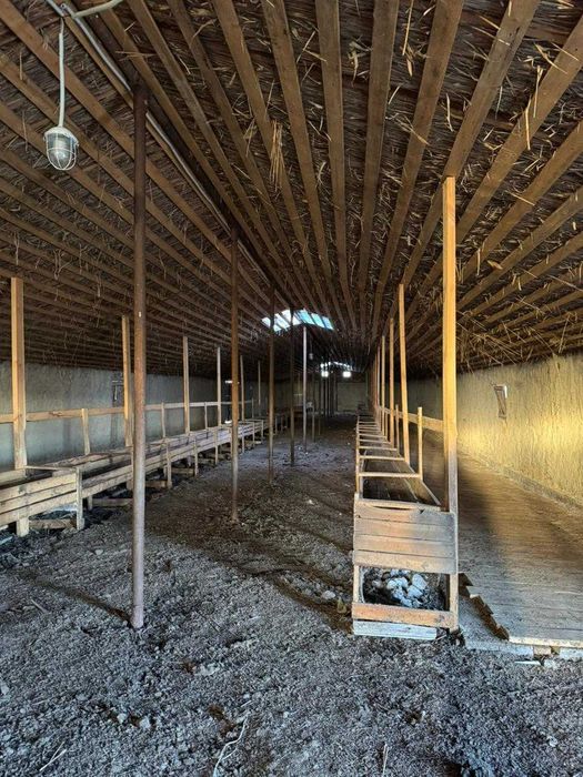 Продам крестьянское хозяйство