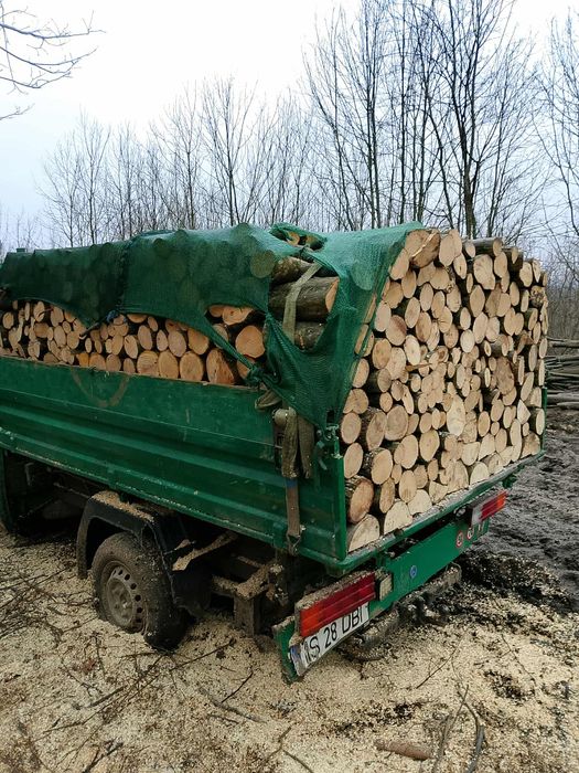 Lemne de foc esență tare stejar frasin fag carpen crăpate dorita clientului mai multe detalii la tel 0765162792
