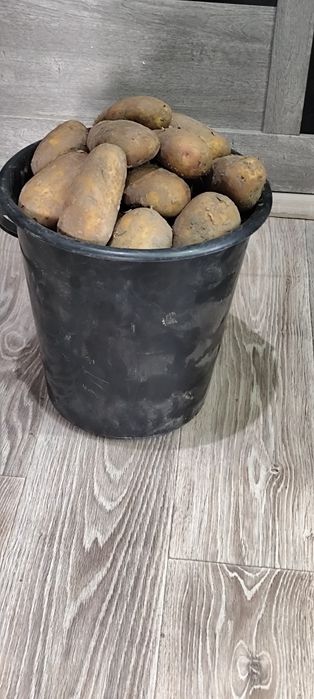 Едовой 3000 ведро 12л.