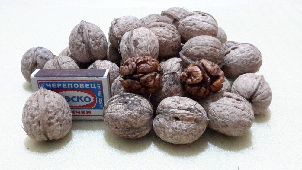 Продам грецкие орехи.