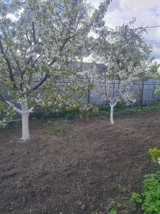 Casa batraneasca - cartierul CFR