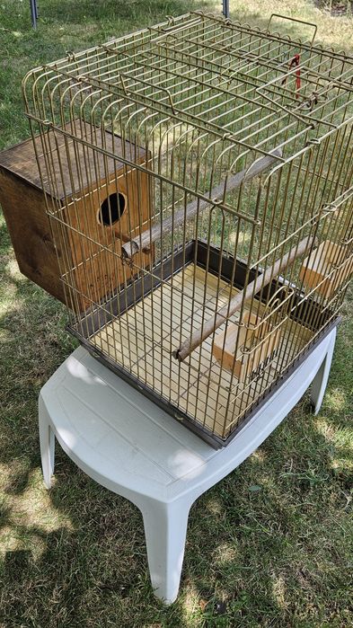 Colivie mare cu cuibar