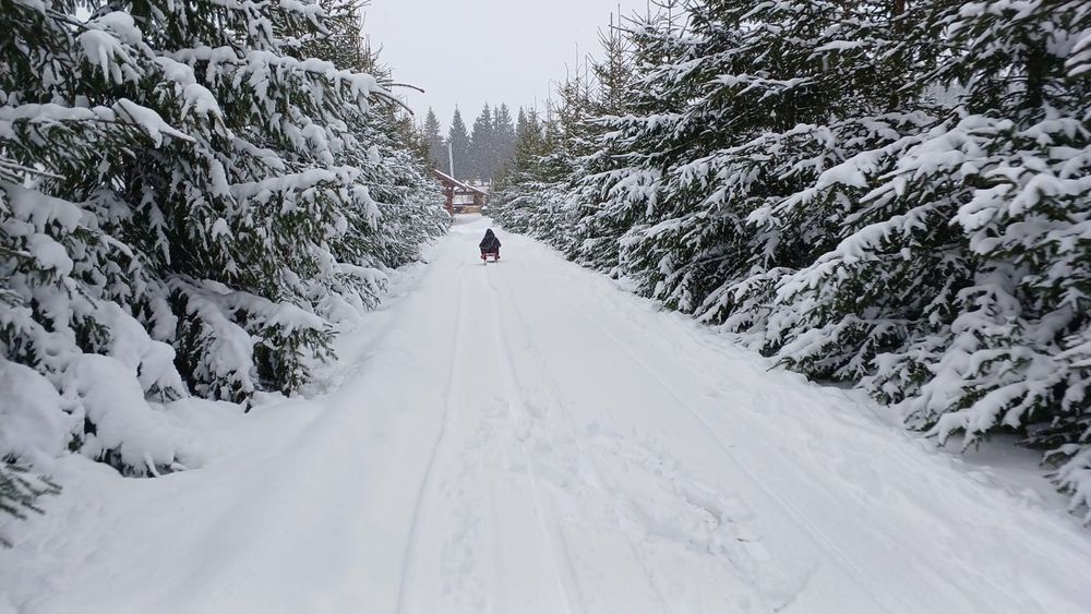 Cabana Belis Trofeul Muntilor