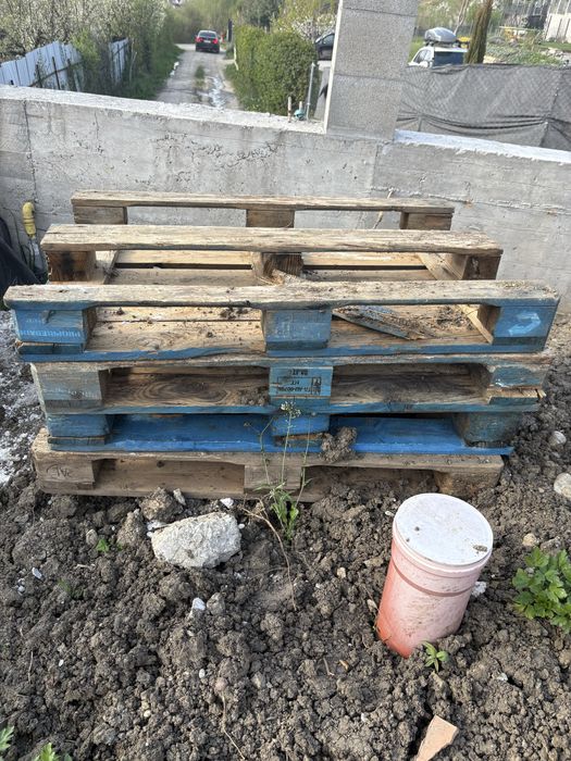 5 Paleti in stare buna