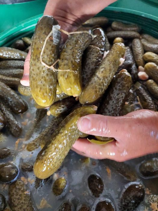 De vânzare castraveți în saramura