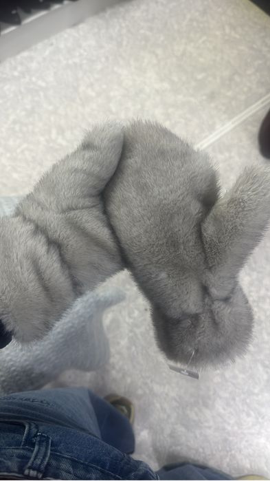 Бесплантно  отдам