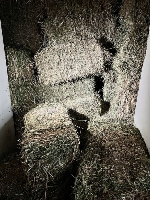 Беда сотилади 30.000