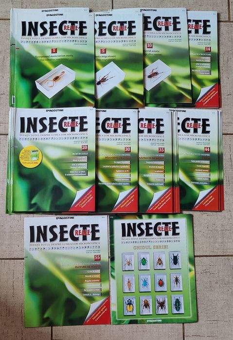 DeAgostini-insecte în rășină
