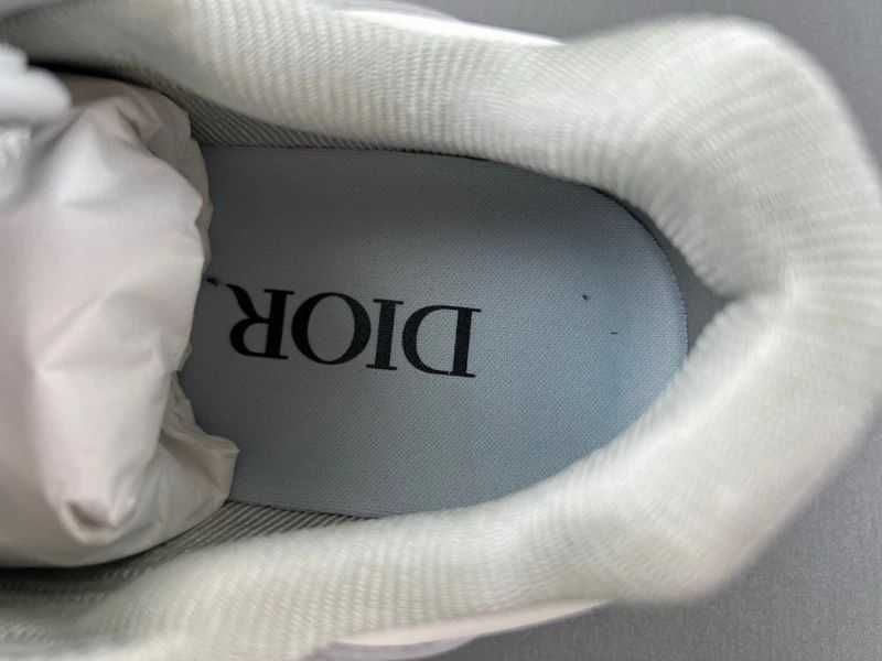Dior B27 Low Gray White