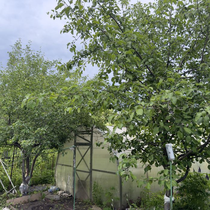 Дача Со горизонт