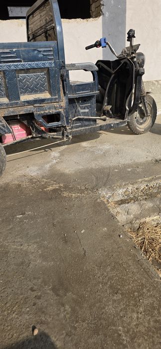 500 kiloli muravey elektronniy