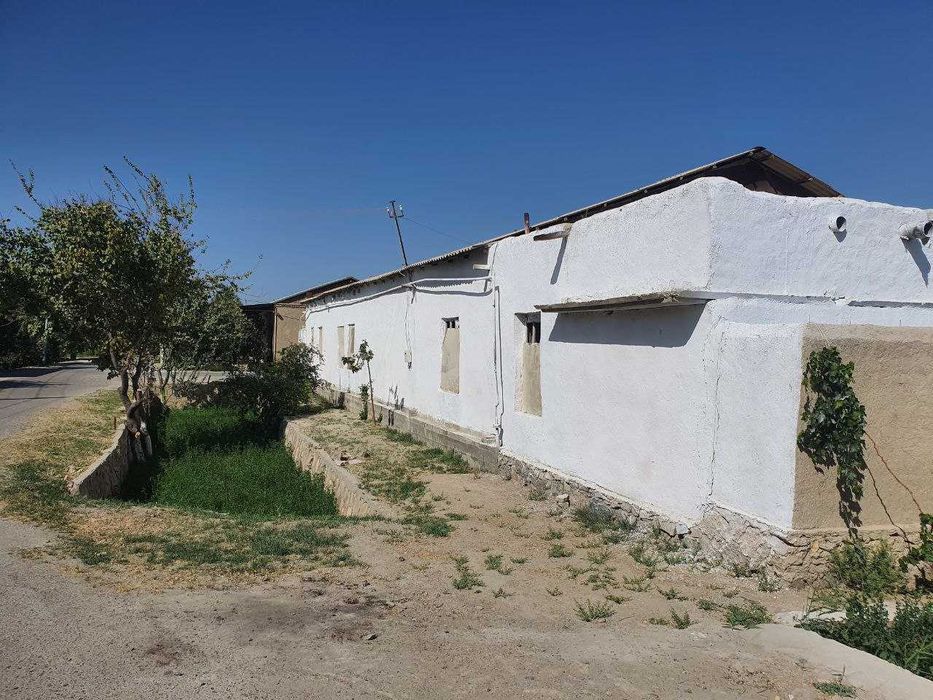 Buxoro, Kogon tumani Yangihayotda 12 sotohli uchastka sotiladi