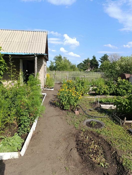 Продам дачу в Мелиараторе