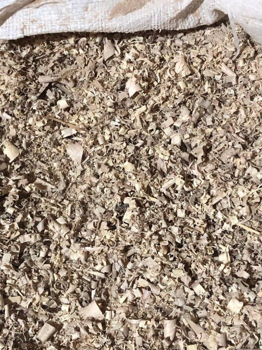 Апилка қуруқ йогочники