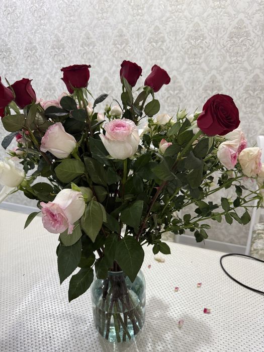 Продам цветы свежие