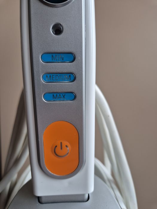 Rowenta Clean and Steam