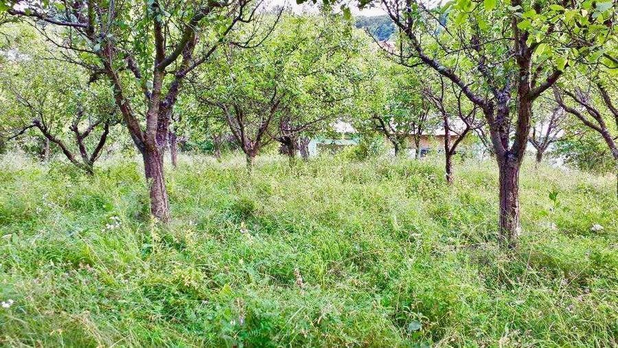 Morilor Teren constructii intravilan 3600mp