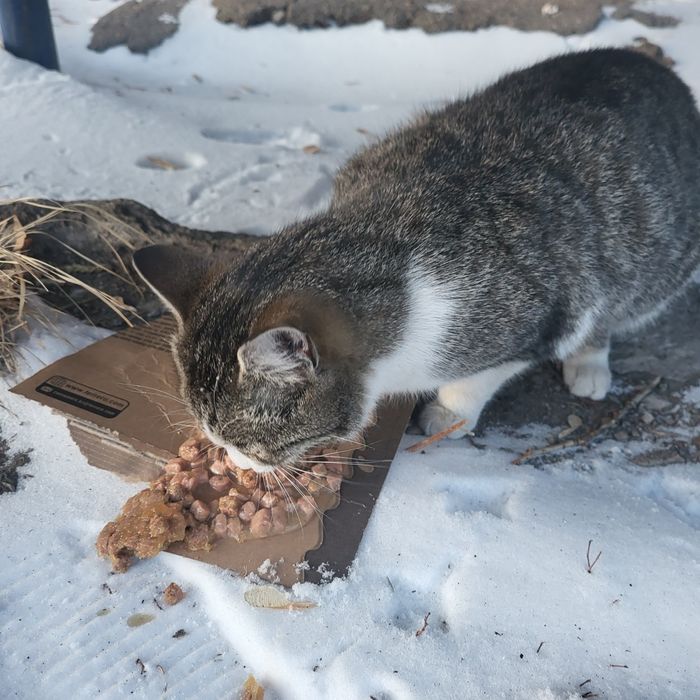 Срочно ищем дом мальчику подростку