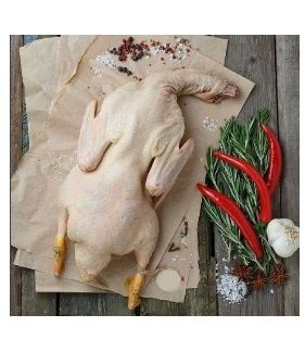 Мясо индоутки домашней.