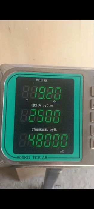 индюк жұмыртқасы