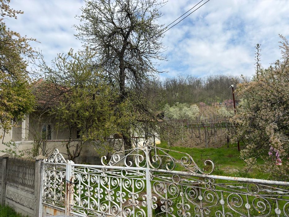 Casă de vânzare