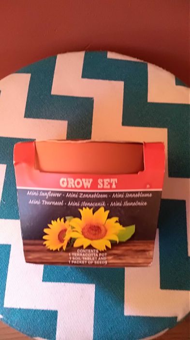 Комплект за посаждане на слънчоглед