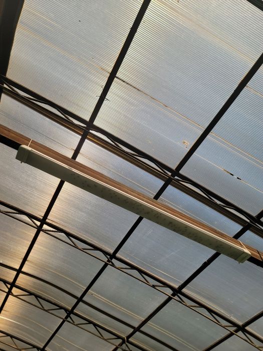 искусственный газон