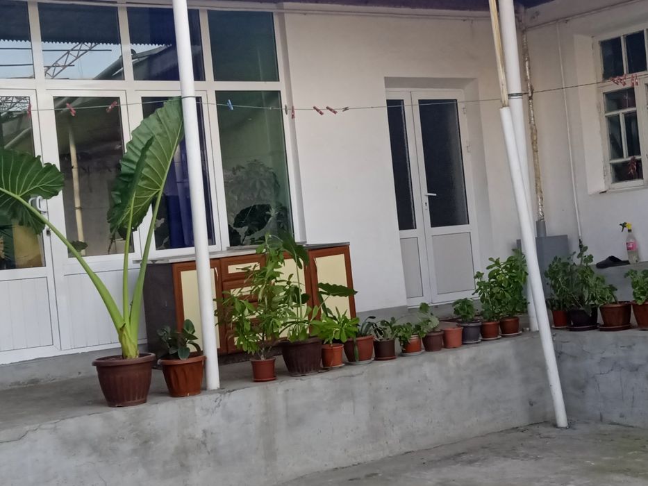 Gul shnavandalari uchun gullar