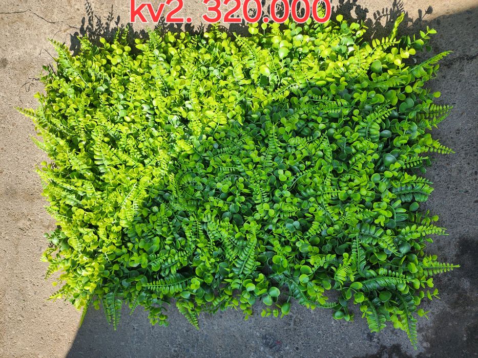 Dekarativne har xil  risunkadagi gullar