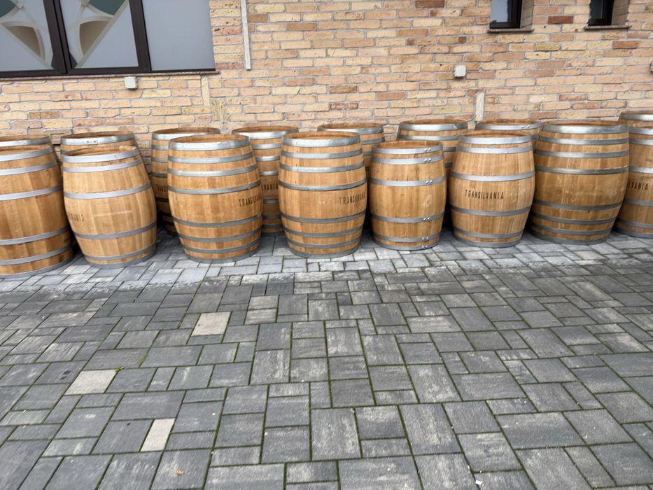Utoi de dud stejar salcam