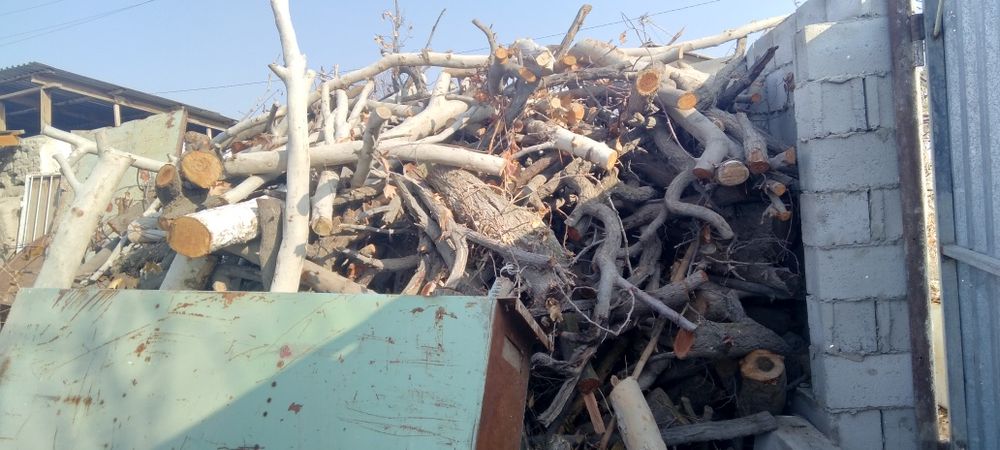 O'tin sotilade ho'l quruq aralash zaldore chinor tut o'tinlar katta ka