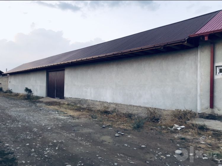 Parnik 20 sotiq ijaraga beramiz