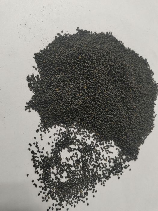 Семена люцерны. Жоңышқа тұқымы