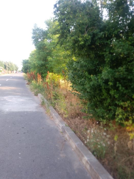 Teren intravilan mosneni