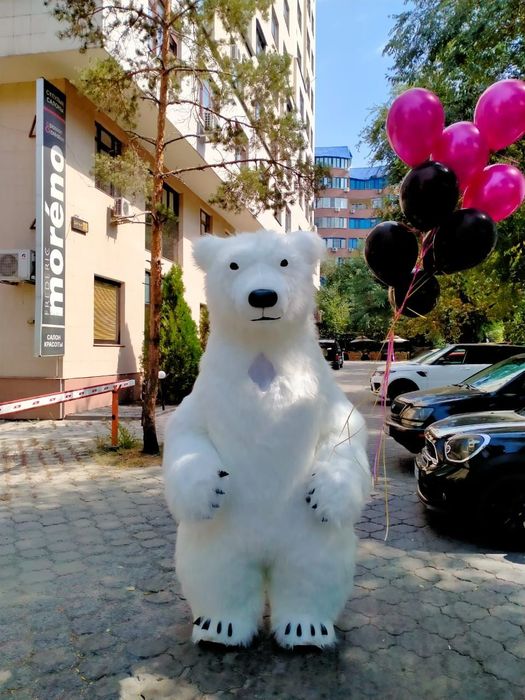 Доставка цветов! Аниматор КУРЬЕР