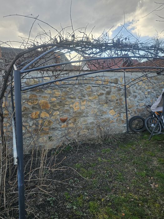 Vand pergola pentu vita de vie cu tot cu vita