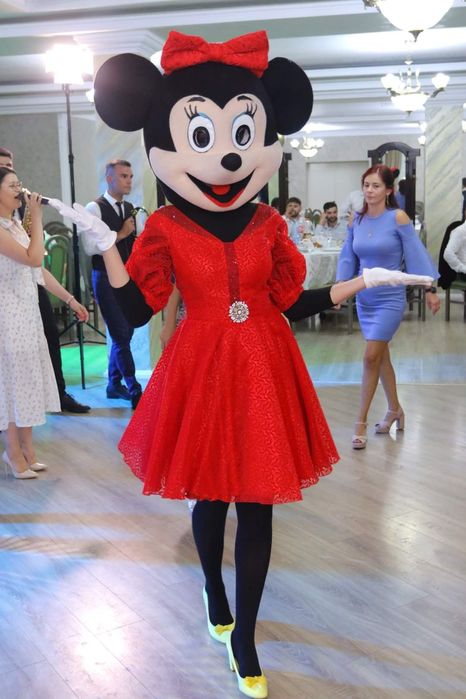 Mascote petreceri de copii