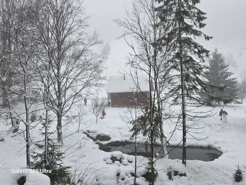 Teren Lunca Visagului