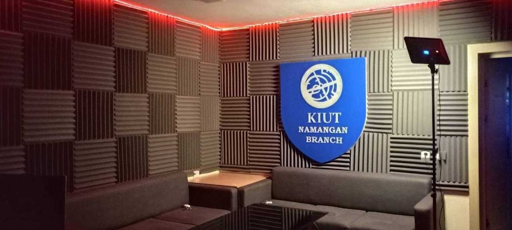 Акустические панели (студийный поролон)