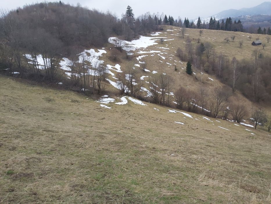 Teren de vânzare