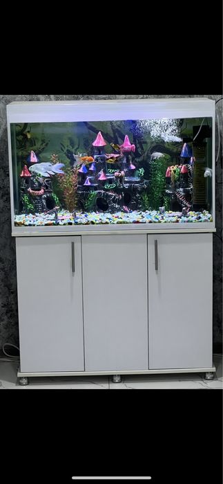 Аквариум ………………………………